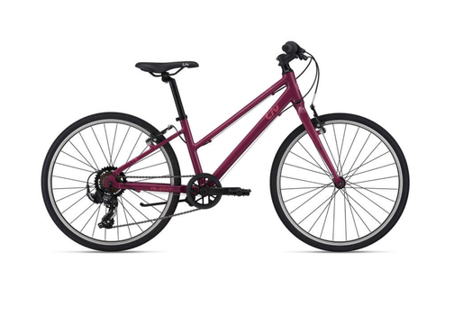 giant alight bicycle LIV Alight 24