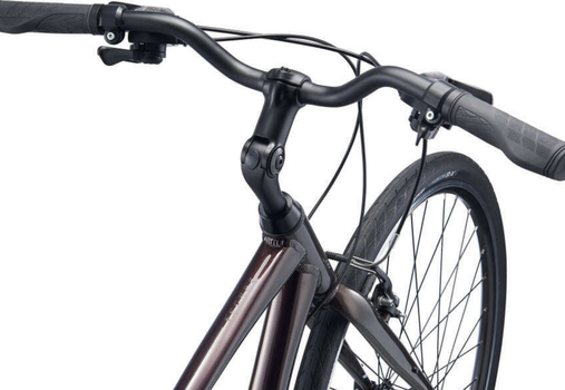Giant Escape 3 XL Comfort in Rosewood | Takoma Bicycle