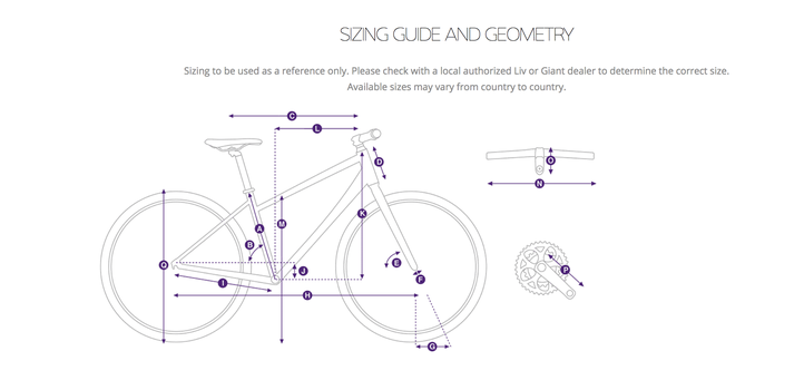 Liv bliss online size guide